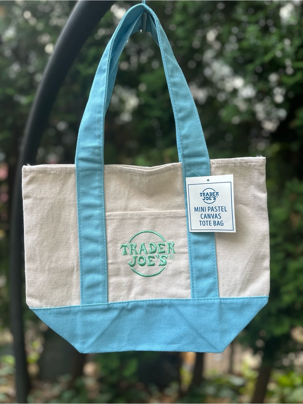 Trader Joe's Mini Pastel Canvas Tote in Aqua & Natural